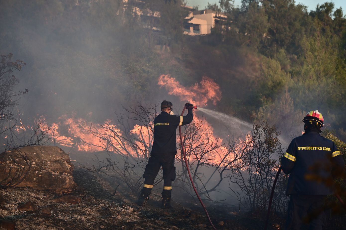 Φωτιά στην Αττική: Έκκληση της ΕΛ.ΑΣ. στους πολίτες να ακολουθούν τις οδηγίες εκκένωσης και να μην κινούνται προς τις πυρόπληκτες περιοχές