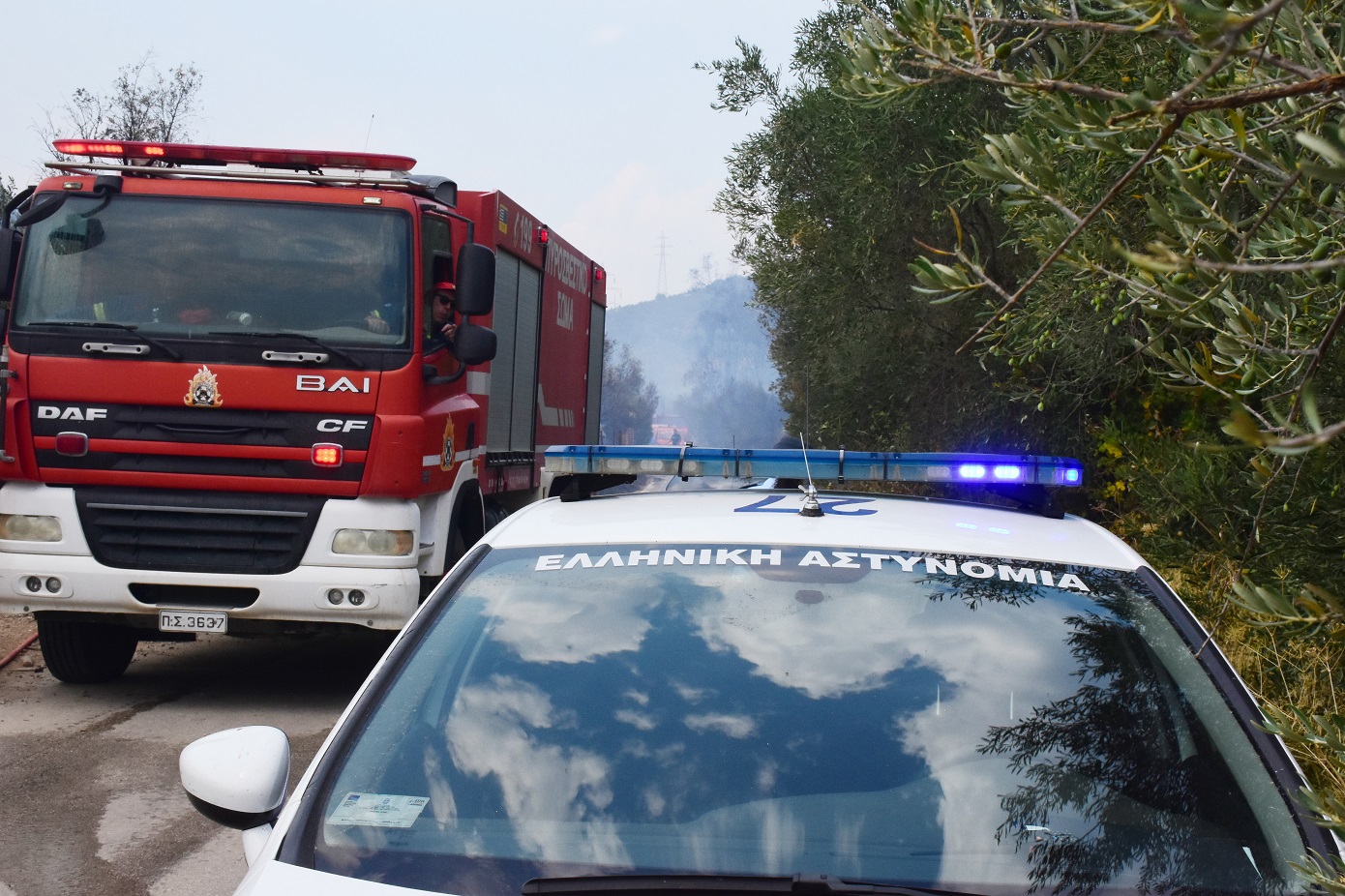 Σύλληψη άνδρα για δυο φωτιές στη Ζάκυνθο – Είχε κατηγορηθεί ξανά για εμπρησμό