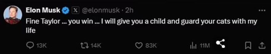 elon