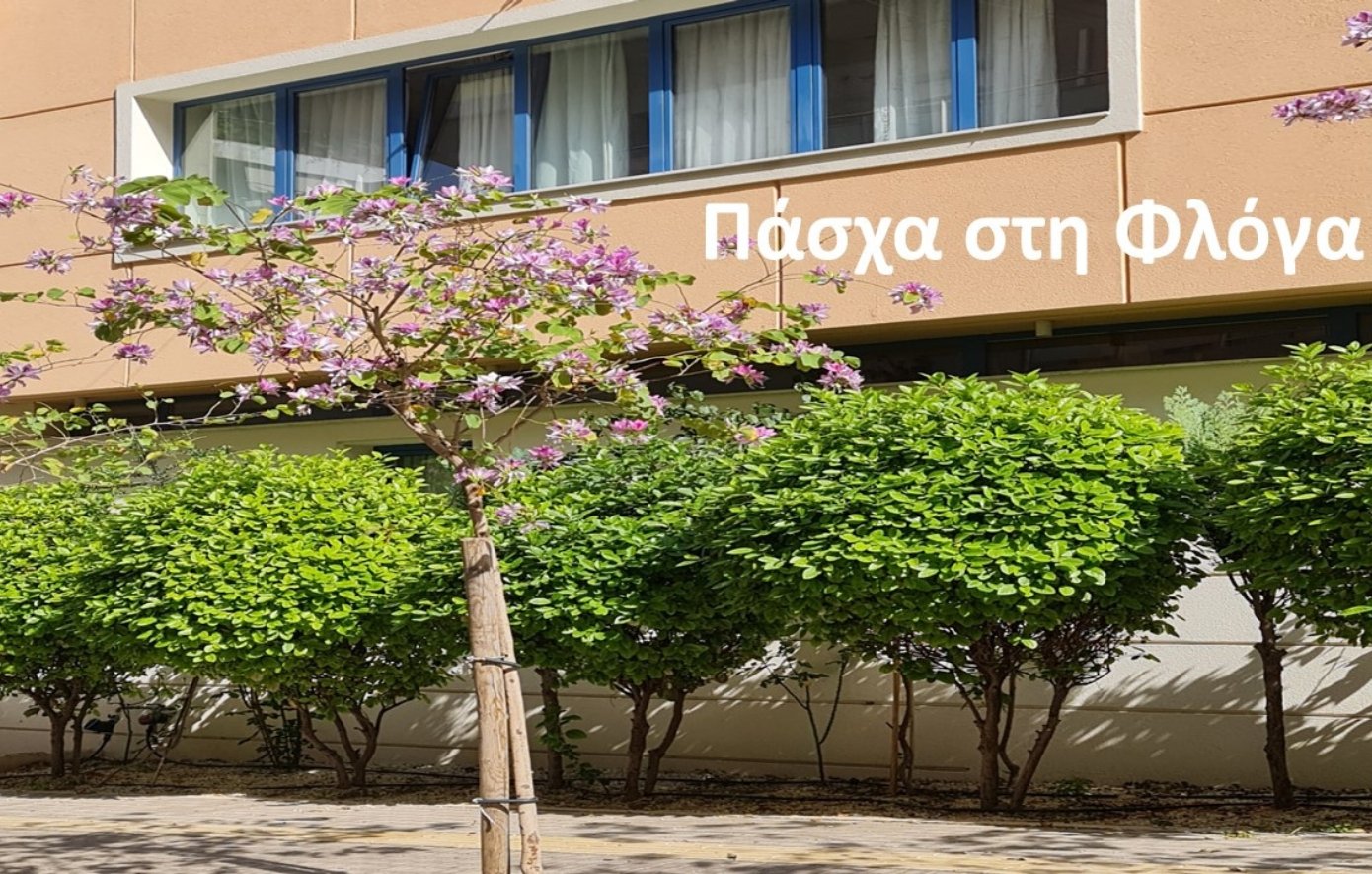 ΦΛΟΓΑ ΦΛΟΓΑ