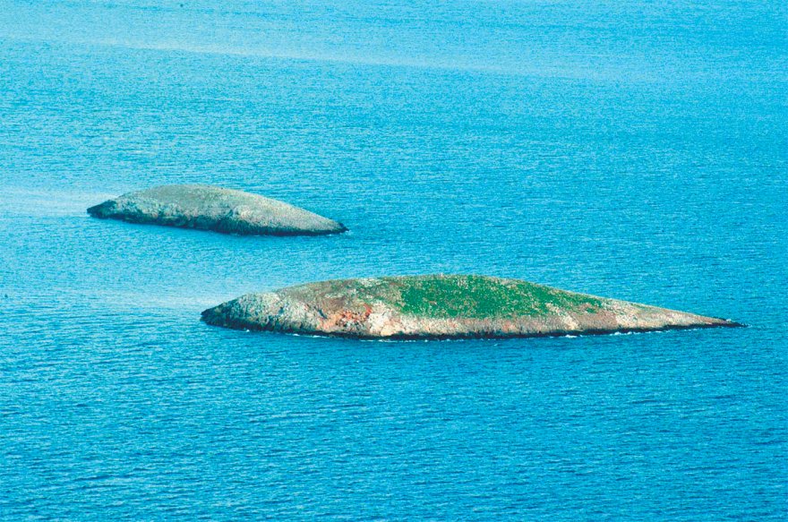 «Έχει κόκκινη σημαία και ανθρώπους σίγουρα» - Η τελευταία συνομιλία των ηρώων στα Ίμια, πριν τη συντριβή του ελικοπτέρου