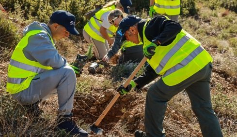 Αναδάσωση σε Πεντέλη και Παλλήνη στο πλαίσιο της περιβαλλοντικής στρατηγικής της HELLENiQ ENERGY