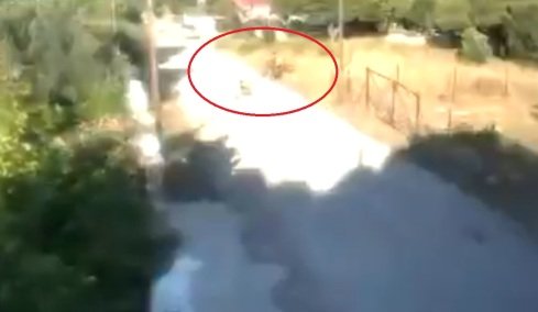 Πρώην υποψήφια βουλευτής κόμματος της αντιπολίτευσης η 57χρονη που έβαλε φωτιά σε ξερά χόρτα στην Κορινθία