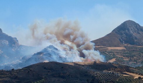 Μεγάλη φωτιά στη Βοιωτία, μπαράζ από μηνύματα του 112 για εκκενώσεις σε 4 περιοχές - Μαίνεται η πυρκαγιά στο Ρέθυμνο, καλύτερη εικόνα στην Αχαΐα