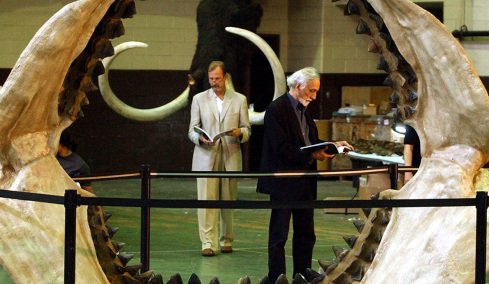 Megalodon: Βρέθηκε ο σπόνδυλος του μεγαλύτερου καρχαρία που είχε χαθεί σε μετακόμιση μουσείου