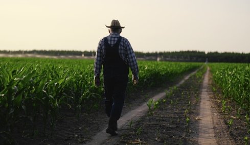 «Καταστροφική» συμβουλή του AI: Αγρότης έχασε 100 στρέμματα καλλιέργειας  