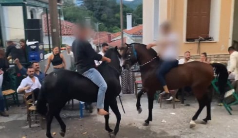 Άλογα χορεύουν πάνω σε σπασμένα μπουκάλια στη Λέσβο - A Promise to Animals: «Όταν η κριτική σε ένα έθιμο θεωρείται επίθεση σε έναν τόπο»  