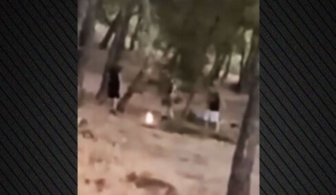 Εντοπίστηκαν οι 13χρονοι που έπαιζαν με τη φωτιά μέσα σε δάσος στην Πεντέλη για ένα challenge  