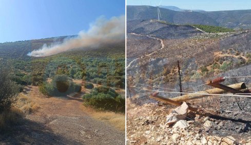 Πώς ξεκίνησε η φωτιά στη Βοιωτία: Τι αποκάλυψε η αυτοψία της Πυροσβεστικής «στο σημείο μηδέν», φωτογραφίες ντοκουμέντο