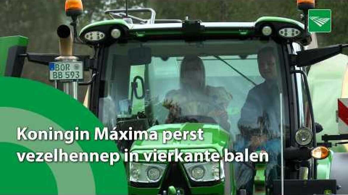Koningin Máxima perst vezelhennep in vierkante balen
