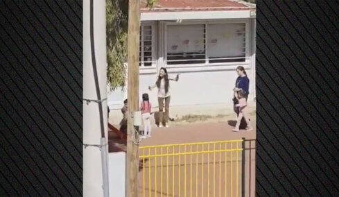 «Σας έφαγα, ντροπή σας!»: Διευθύντρια νηπιαγωγείου στα Άνω Λιόσια φώναζε στα παιδιά, καταγγέλλει βιαιοπραγία εναντίον της - Αποφασίστηκε η μετακίνησή της, δείτε βίντεο