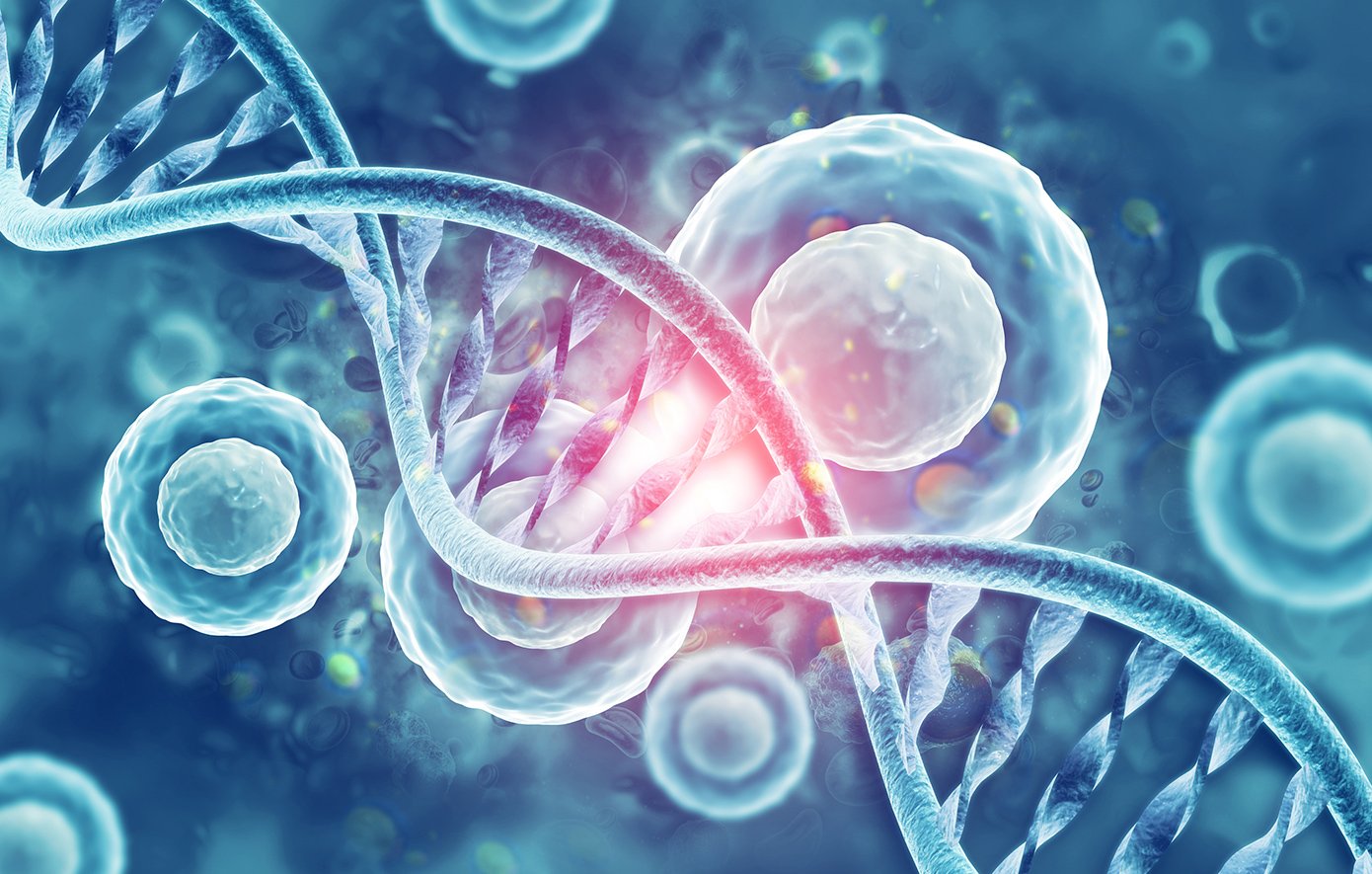 DNA