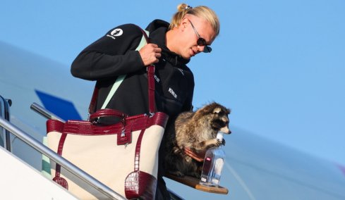 Ο Χάαλαντ μηνύει την αεροπορική εταιρία Norwegian Air για παράνομη εκμετάλλευση της... κοτσίδας του!